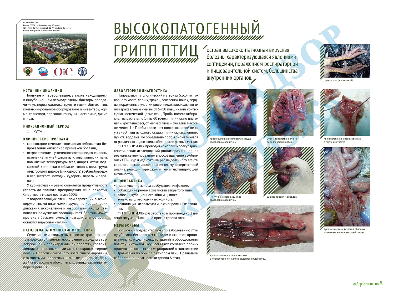 Изображения.