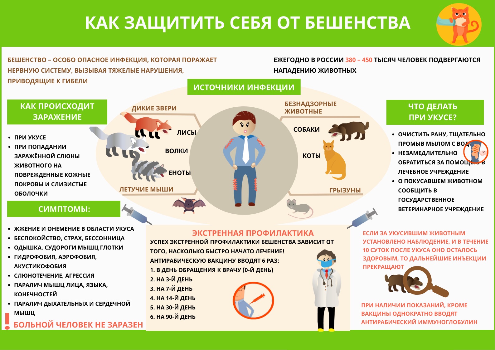 Как защититься от бешенства.